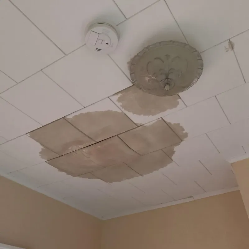 Ceiling Water Damage Repair in Surrey, ND