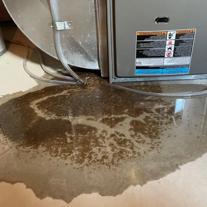 Pipe Burst and Leak Restoration in Surrey, ND